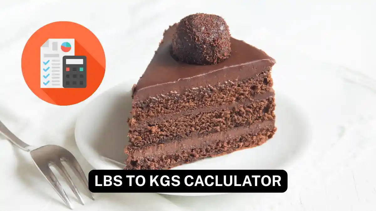 ICO Lbs tI KG Calculator – Accurate Pounds to Kilograms