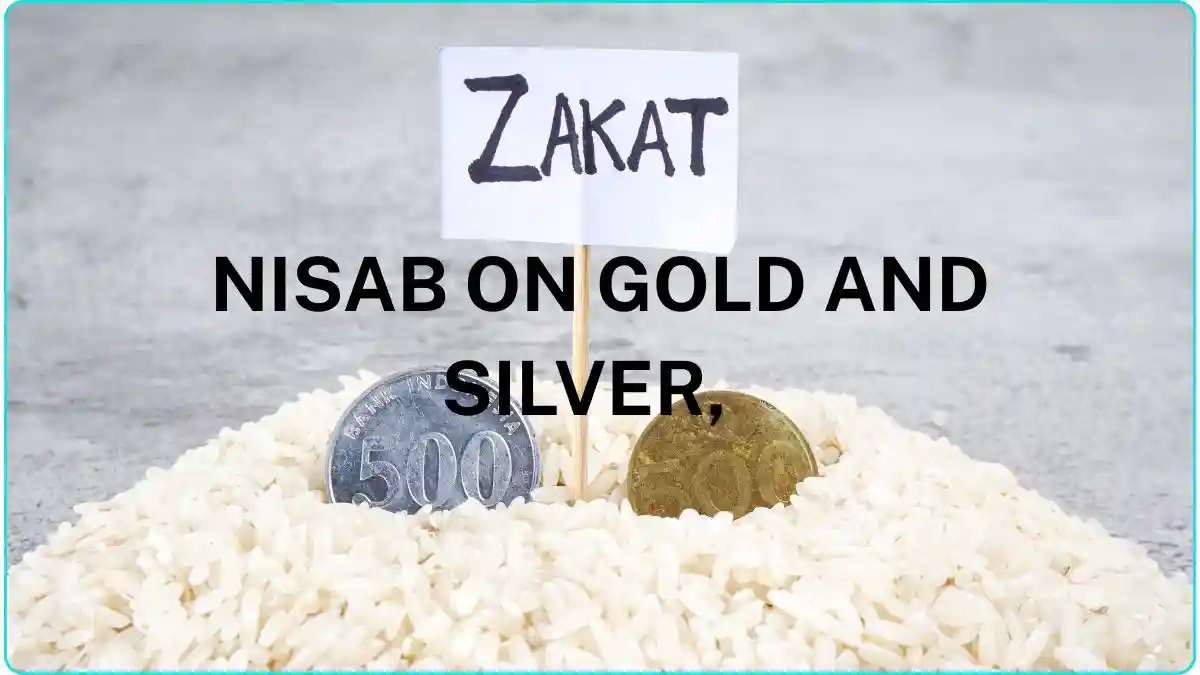 Zakat nisab