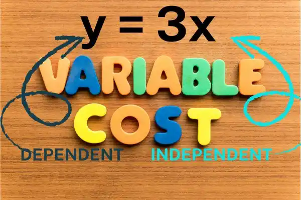 INDEPENDENT VRIABLE AND DEPENDENT VARIABLE